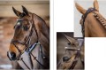 LeMieux Competition Bridle